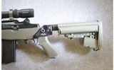 Springfield Armory M1A - 9 of 10