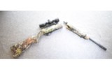 Ruger 10/22 .22lr Takedown Rifle - 11 of 11
