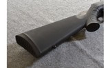 Savage Arms A17 - 10 of 10