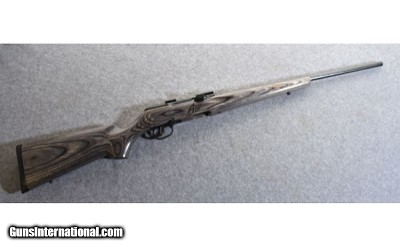 Savage Arms A17