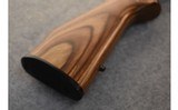 Savage Arms 93R17 - 9 of 9