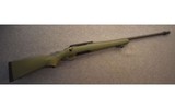 Ruger American