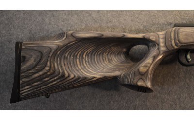 Savage A-22 .22 Magnum Semiautomatic Rifle