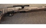 Savage A-22 .22 Magnum Semiautomatic Rifle - 2 of 9