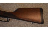 Henry Repeating Arms - 8 of 9