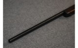 Henry Repeating Arms - 4 of 9