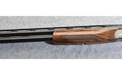CZ TS870 - Image 16 of 16