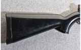 Charter AR-7 - 2 of 11