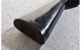 Charter AR-7 - 10 of 11