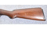 Remington .25 Caliber Pump Action Rifle - 9 of 10