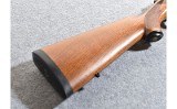 Ruger M77 Mark II - 10 of 10