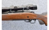 Winchester 70 - 8 of 10