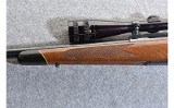 Winchester 70 - 7 of 10