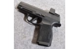 Sig Sauer P365XL - 2 of 2