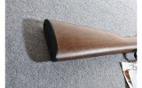 Henry H001T .22 Short/Long/Long Rifle Lever Rifle - 10 of 10