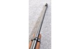 Ruger 10/22 - 7 of 10