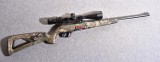 Winchester Wildcat .22 LR Semi-Auto Rifle