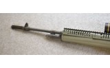 Springfield Armory M1A - 6 of 10