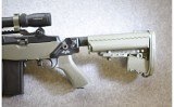 Springfield Armory M1A - 9 of 10