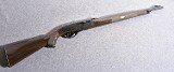 Remington 66 .22 Long Rifle Semiautomatic Rifle - 1 of 10