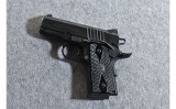 Para Slim Hawg 1911 .45 Auto Compact Semiautomatic Pistol - 2 of 2