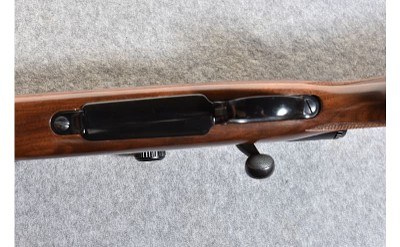 Remington 700 - Image 10 of 10