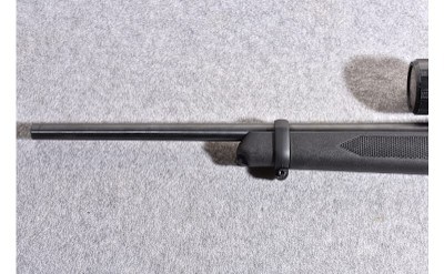 Ruger 10/22 .22 Long Rifle Semiautomatic Rifle - Image 6 of 10