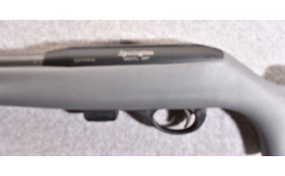 Remington 597 Semi-Auto .22 Long Rifle - Image 7 of 10
