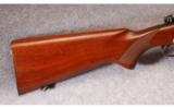 Winchester Model 70 in 257 Roberts - 5 of 9