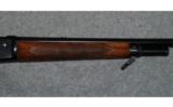 Winchester Model 71 Deluxe .348 WIN - 6 of 8