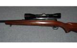 Winchester Model 70 Pre 64
220 Swift - 4 of 8
