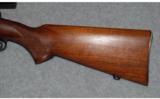 Winchester Model 70 Pre 64
220 Swift - 7 of 8