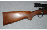 Winchester Model 70 Pre64.257 Roberts - 4 of 9