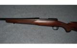 Winchester Model 70 Sporter
.270 WIN - 4 of 8