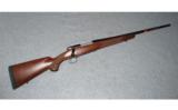 Winchester Model 70 Sporter
.270 WIN - 1 of 8