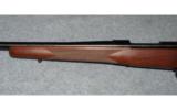 Winchester Model 70 Sporter
.270 WIN - 8 of 8