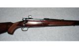 Winchester Pre 64 Model 70 Super Grade .375 H&H - 2 of 8