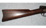 E.G. Lamson 1865 Carbine
.50 rimfire - 5 of 9