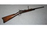 Springfield 1884 Carbine
.45 - 1 of 9