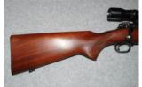 Winchester Model 70 Pre 64
.270 WIN - 5 of 8