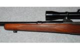 Winchester Model 70 Pre 64
.270 WIN - 8 of 8