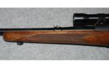 Winchester Model 70 Pre 64
.270 WIN - 8 of 8