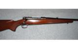 Winchester Model 70 Pre 64
.270 WCF - 2 of 8