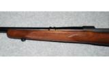 Winchester Pre 64 Model 70
.270 WIN - 8 of 8