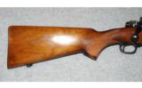 Winchester Pre 64 Model 70
.270 WIN - 5 of 8