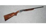 Browning Auto 22 .22LR - 1 of 1