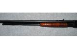 Remington Model 12 A.22 S,L, LR - 8 of 8