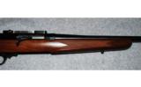 Browning Acera
3006 SPRG - 6 of 8