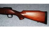 Winchester Model 70 Cabelas Alaskan 375 H+H - 7 of 8