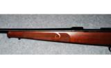 Winchester Model 70 Featherweight 7mm-08 - 8 of 8